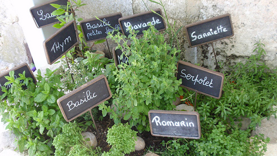 90% des herbes de Provence vendues en France viennent d’ailleurs ! - Manger Citoyen