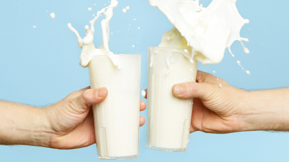 Le lobbying de l’industrie laitière - Manger Citoyen